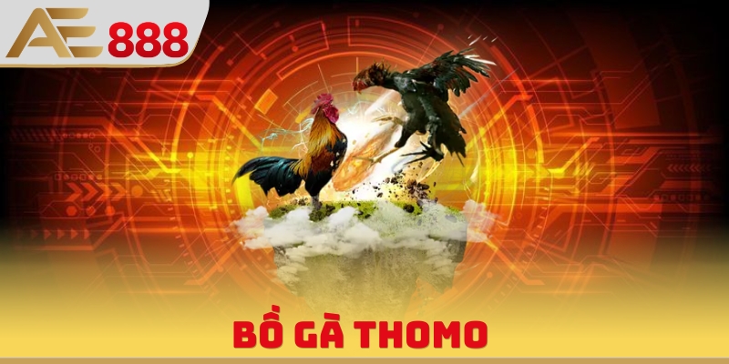 Bồ Gà Thomo