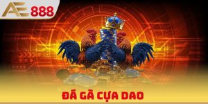 Đá Gà Cựa Dao