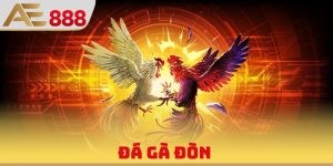 Đá Gà Đòn