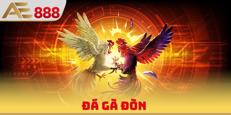 Đá Gà Đòn