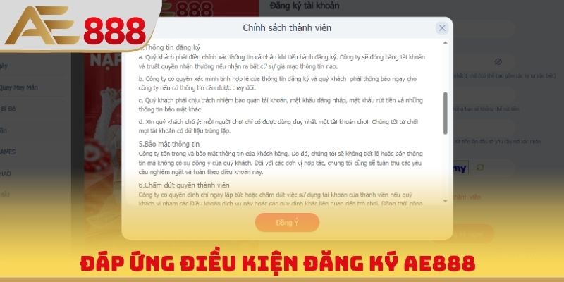Đáp ứng điều kiện đăng ký AE888