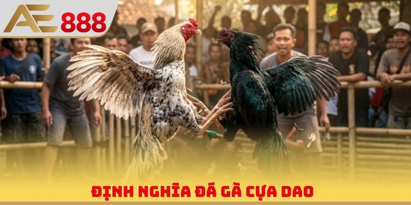 Định nghĩa đá gà cựa dao