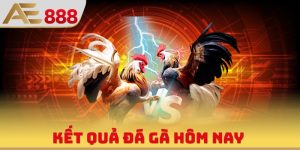 Kết Quả Đá Gà Hôm Nay
