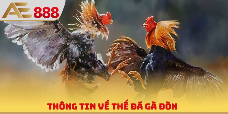 Thông tin về thế đá gà đòn