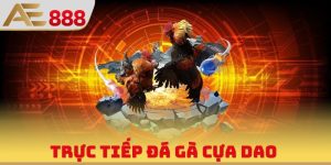 Trực Tiếp Đá Gà Cựa Dao