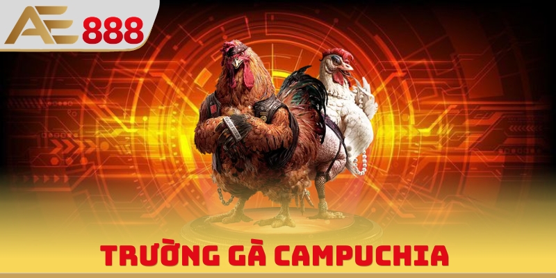 Trường Gà Campuchia