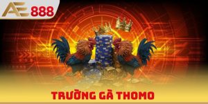 Trường Gà Thomo